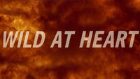 Wild at Heart